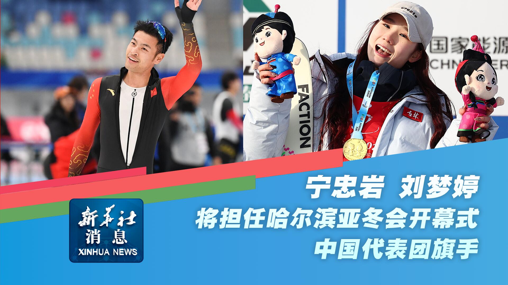 不仅损害了